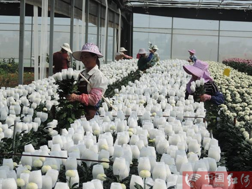 2019nV北县域经济十强_成为全省县域经济发展的佼佼者.从国家级贫困县,到全省科学发展\