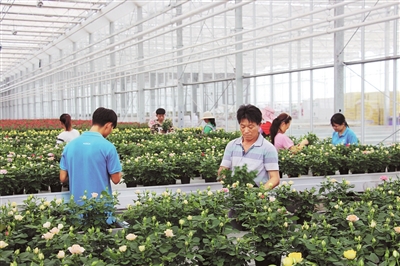 开远:创新助力现代农业转型升级