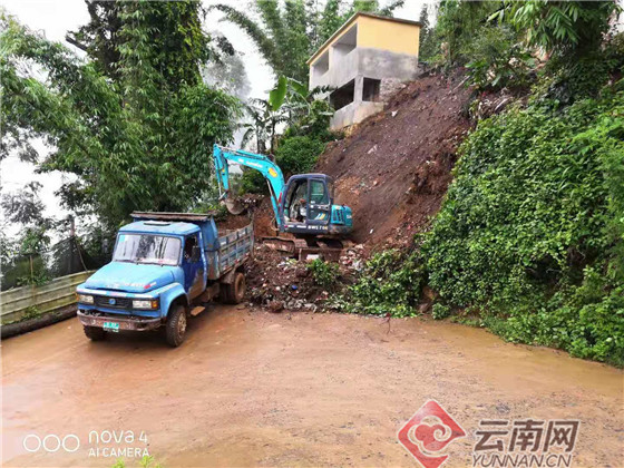 绿春县戈奎乡.供图产业振兴发力,科学管理先行.