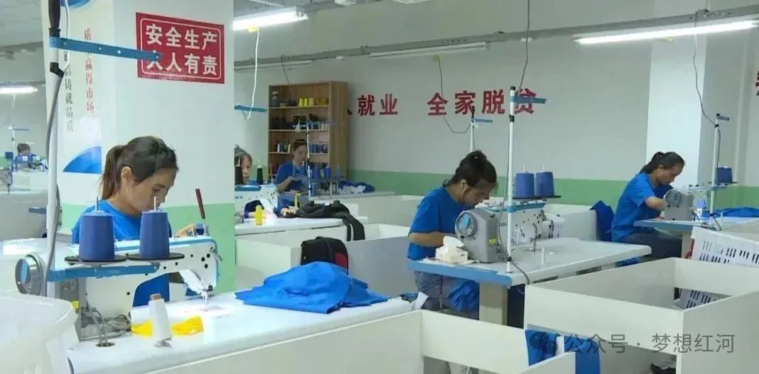 微信图片_2025-08-22_160013_136.jpg