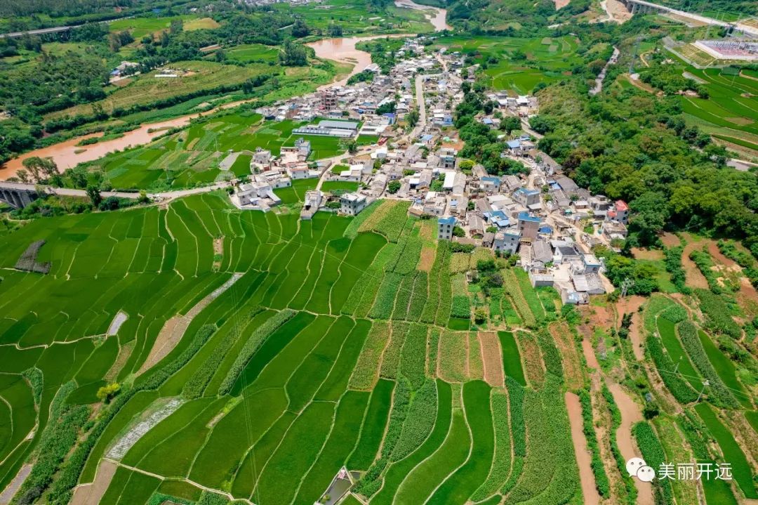 雲南開遠金融活水助力鄉村振興