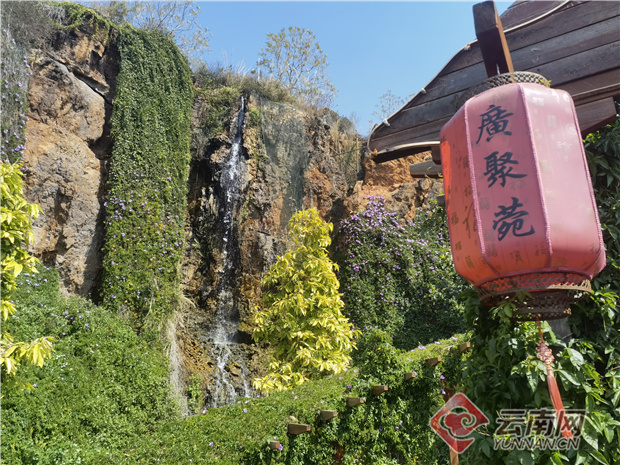 正午时分,走入建水县南庄镇干龙潭村干塘村葡萄合作社的广聚苑餐厅