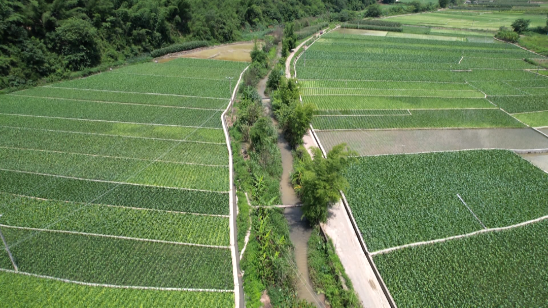 石屏县新城乡十年攻坚克难谋发展厚积薄发筑新韵